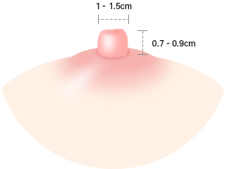 Nipple and Areola Surgery